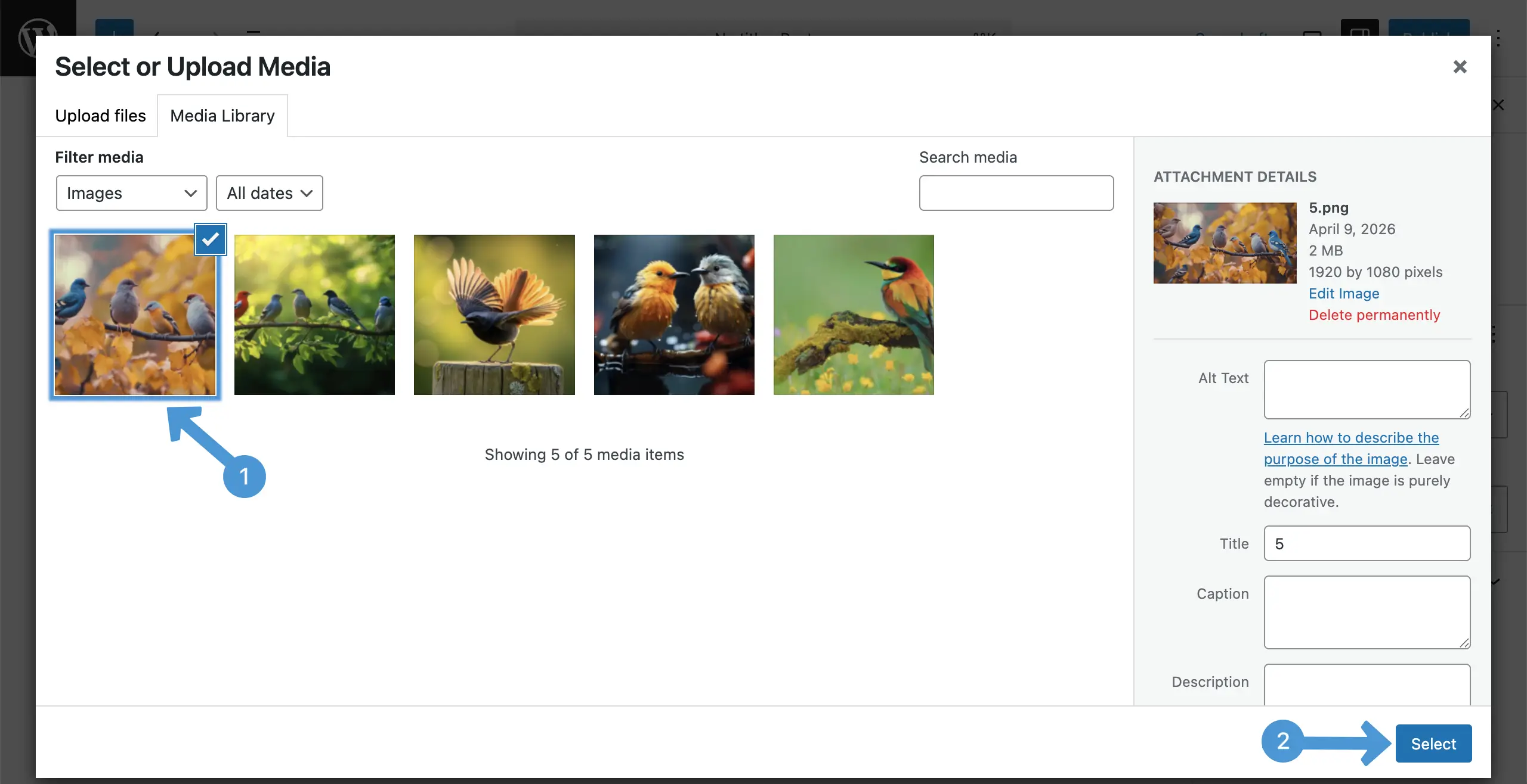 Add the first image to the imag slider